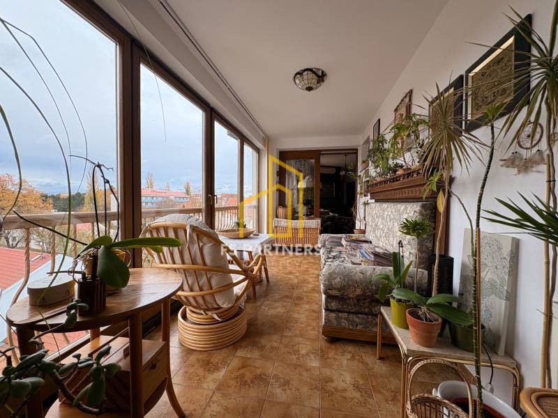 Interior photograph of a conservatory in a 5 or more room apartment with plenty of plants.