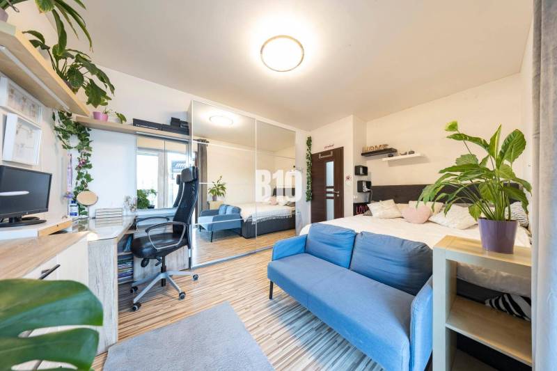 The family house offers a floor with a wooden decor, a blue sofa, and a work corner.