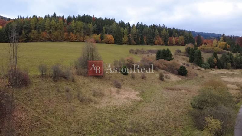 A landscape in the Recreational Grounds Čertov, Lazy pod Makytou with a forest backdrop and meadows.