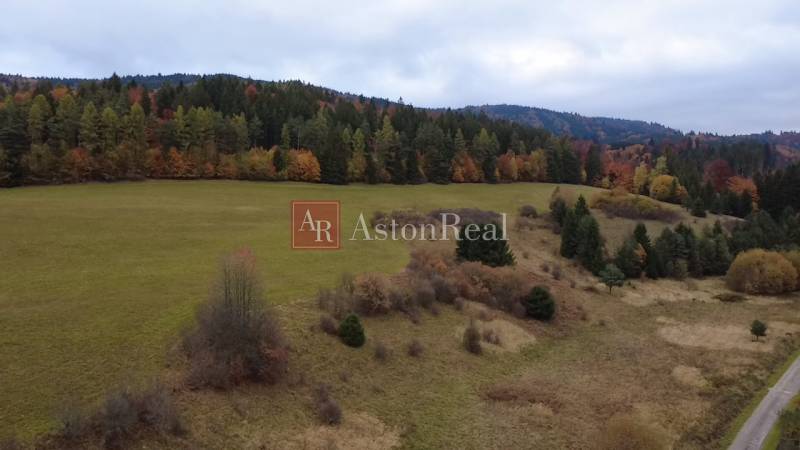 Autumn at the Recreational Grounds in Lazy pod Makytou-Čertov with a forest in the background.