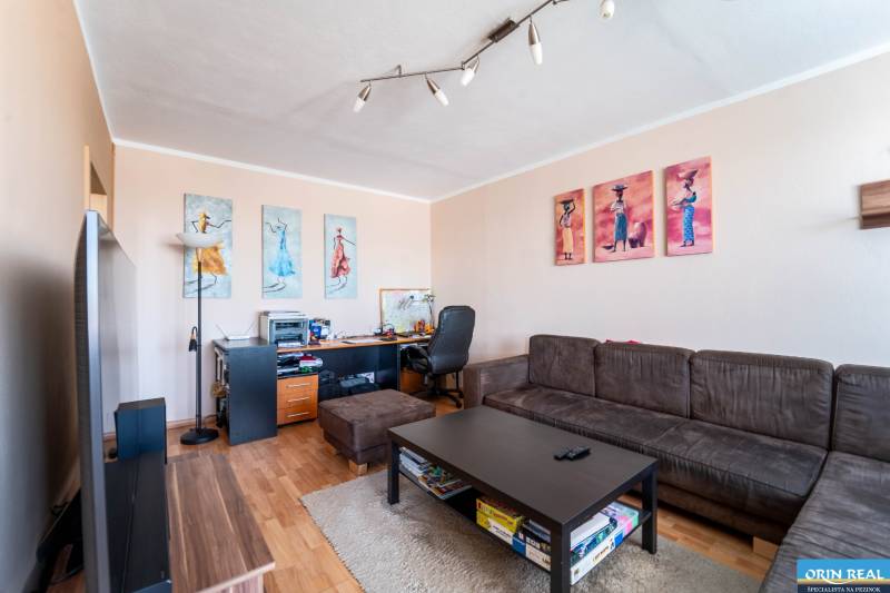 Living room in a 3-room apartment with a couch, table, and floor with a wooden decor.