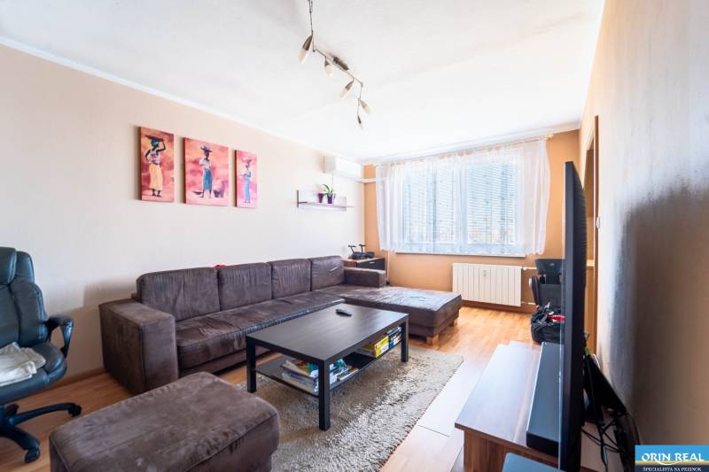 Living room in a three-room apartment with a wooden decor floor, brown furniture, and decorations.