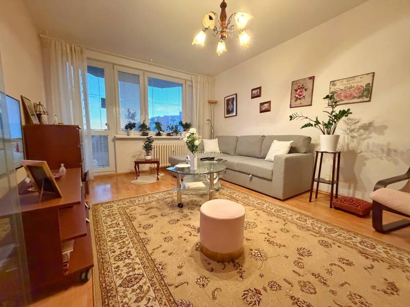 Living room in a 3-room apartment with a sofa, carpet, and plants, wooden decor flooring.