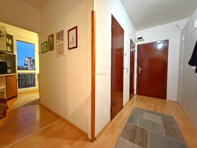Hallway of a 3-room apartment with wood-patterned flooring, paintings on the walls.