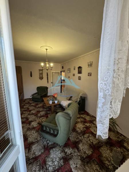 Living room in a three-room apartment with green furniture and a decorative carpet.