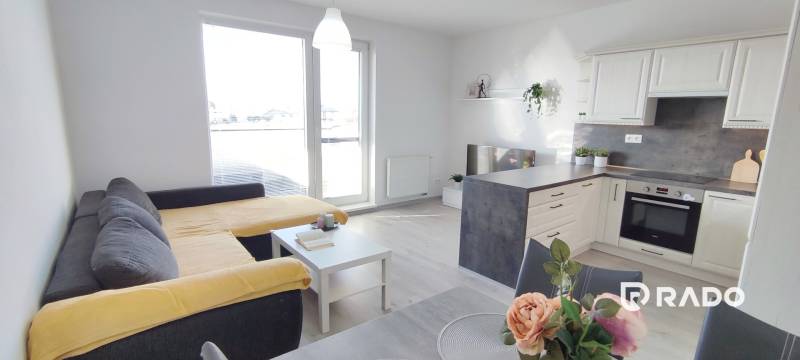 Interior of a 2-room apartment with a kitchen, sofa, and wooden decor flooring.