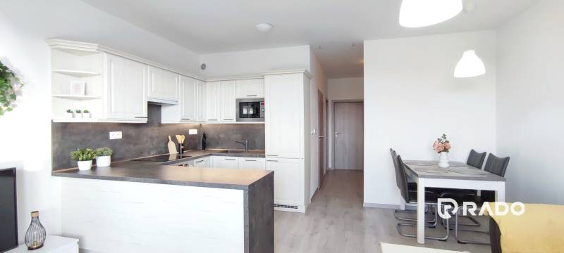 Kitchen and dining area in a 2-room apartment with a wooden decor floor.