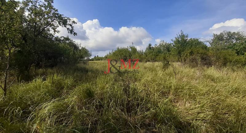 Overgrown recreational plots surrounded by trees in Horné Jabloňovce, Jabloňovce, under a blue sky.