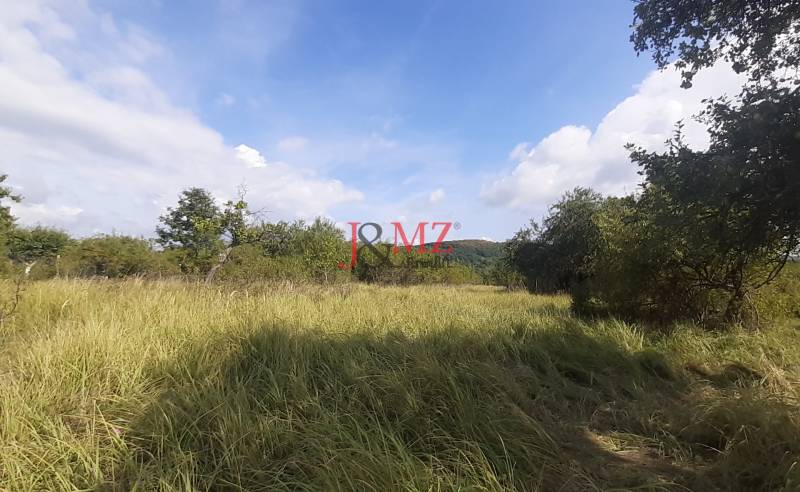 Grassy land in the Recreational plots in Jabloňovce, Upper Jabloňovce surrounded by trees.