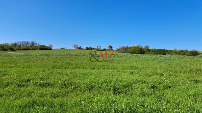 Greenery and blue skies in Dolné Žemberovce, ideal for residential plots, Žemberovce.