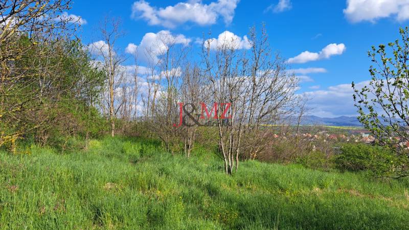 Greenery and trees in the area of Residential Land in Dolné Žemberovce, Žemberovce.