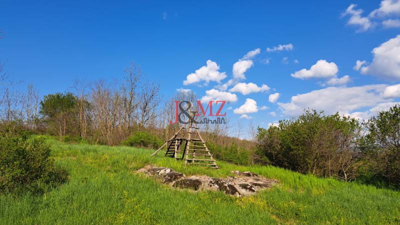 Greenery and wooden structure on residential plots in Dolné Žemberovce, Žemberovce.