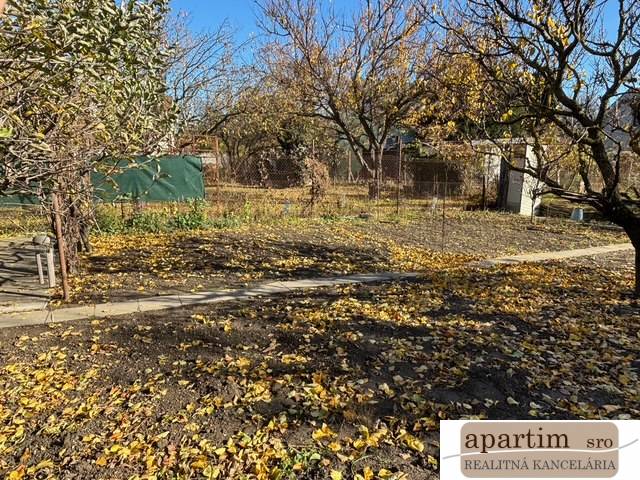 Autumn garden in Bratislava - Ružinov, Central, with fallen leaves and trees.