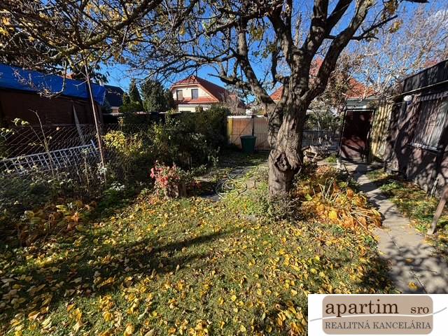 Autumn in the garden on Stredná Street in Bratislava - Ružinov, a tree and fallen leaves.