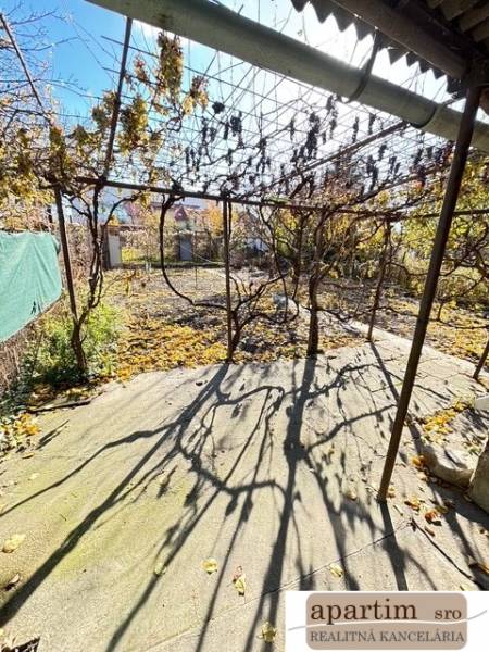 Gardens on Stredná Street in Bratislava - Ružinov with fallen vine leaves.