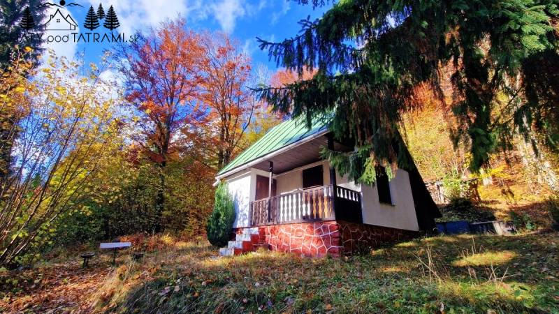 A cottage in Tále in Bystré surrounded by colorful autumn nature and conifers.