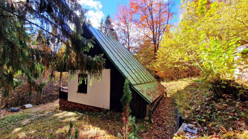 Autumn cottage in Tále in Bystrá, surrounded by coniferous trees and colorful leaves.