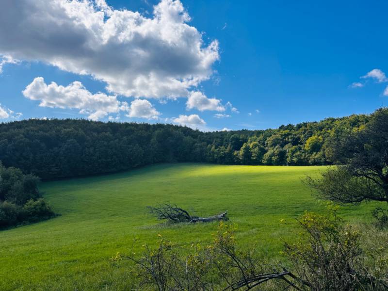 Green agricultural and forest lands in Lúčky with trees and a sky with clouds.