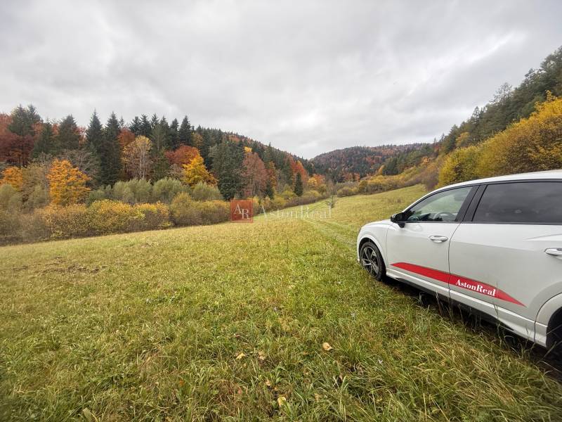 A car in a meadow surrounded by autumn forests at the Recreational Grounds in Lazy pod Makytou, Čertov.