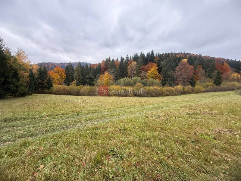 Autumn landscape on recreational grounds in Čertov, Lazy pod Makytou with the vibrant colors of the forest.