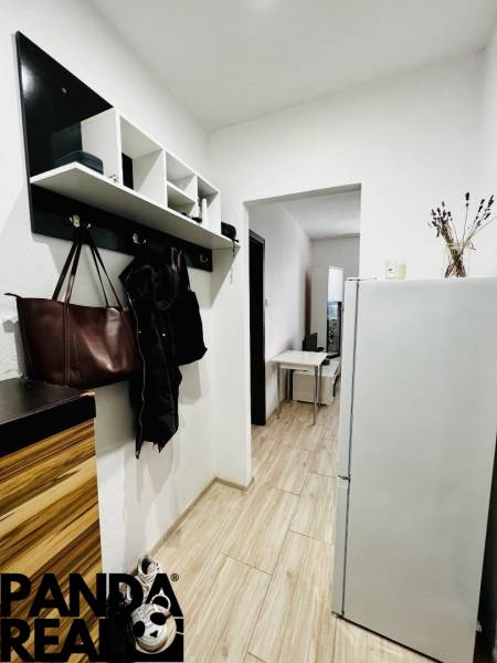 In the 1-room apartment, there is an entrance hall with a shoe cabinet and a coat rack, and a floor with a wooden decor.