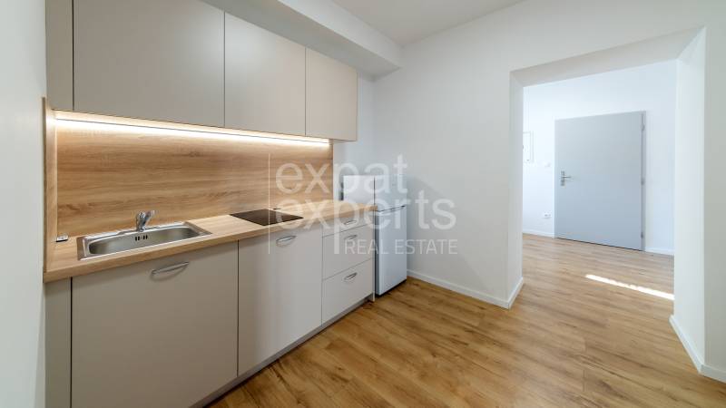 Kitchen unit with wood decor, hob, sink, and entrance to the room in a 2-room apartment.