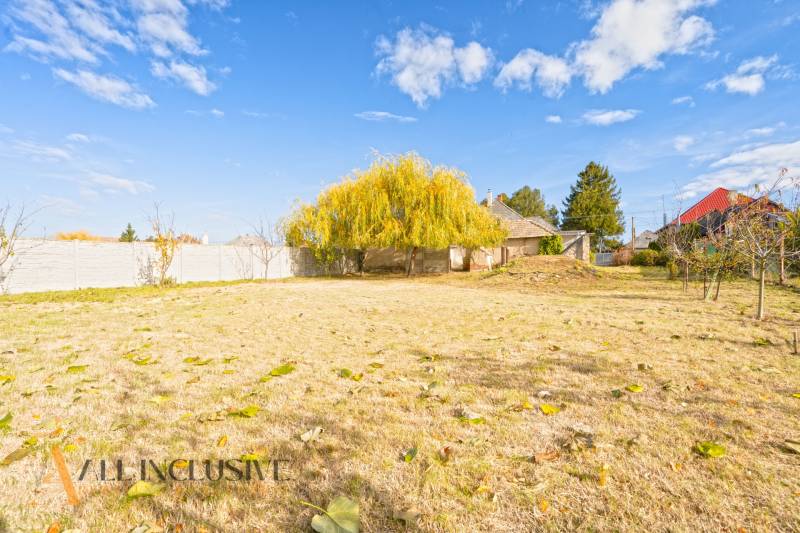 A family house in Veľké Kosihy with an extensive grassy plot and a tree in the yard.