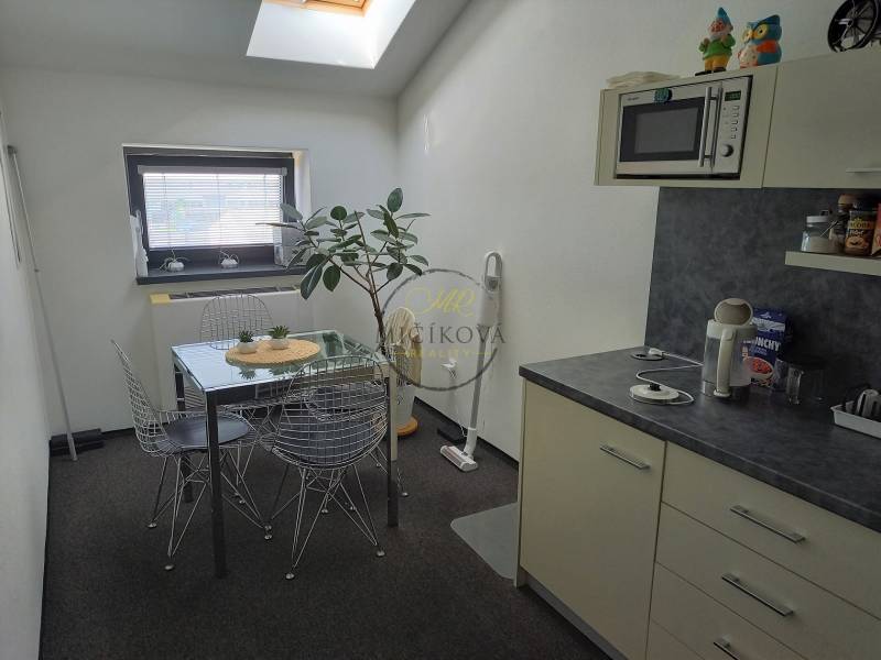 A kitchenette in the office with a dining table, a plant, and a microwave under a skylight.