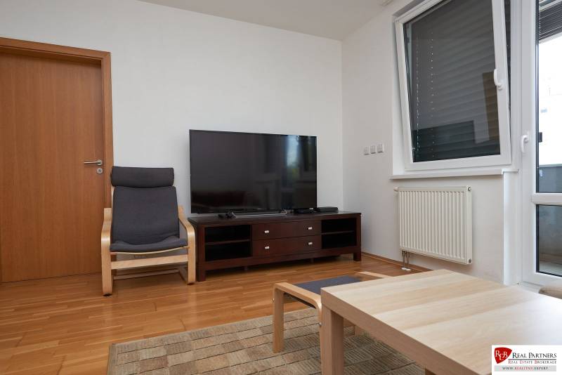 Living room in a two-room apartment with a television, chair, and wooden decor flooring.