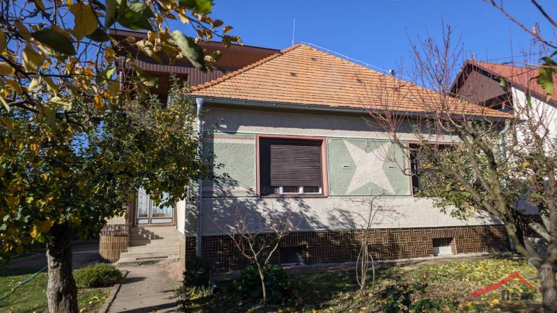 A family house in Vráble surrounded by trees and a garden with green foliage.