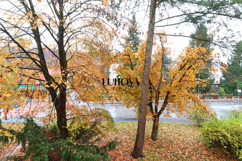 Autumn scenery with trees on Štefánikova Street in Púchov, visible from a 3-room apartment.