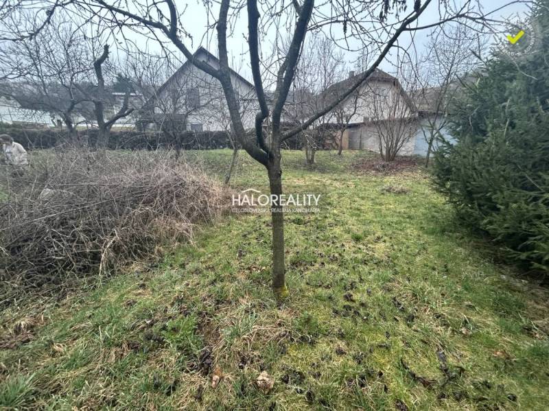 A garden with fruit trees, shrubs, and a lawn, ideal for living and leisure.