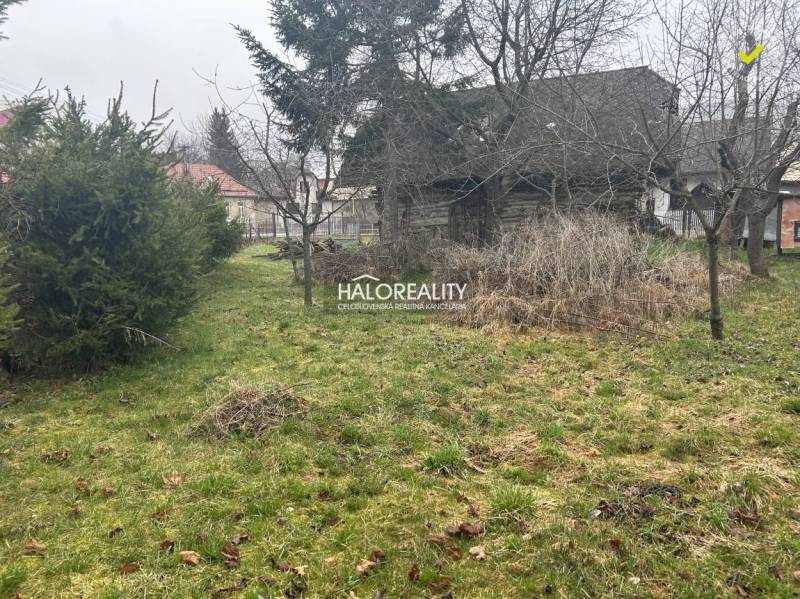 The image shows a large plot of land with grass, trees, and an old shed.