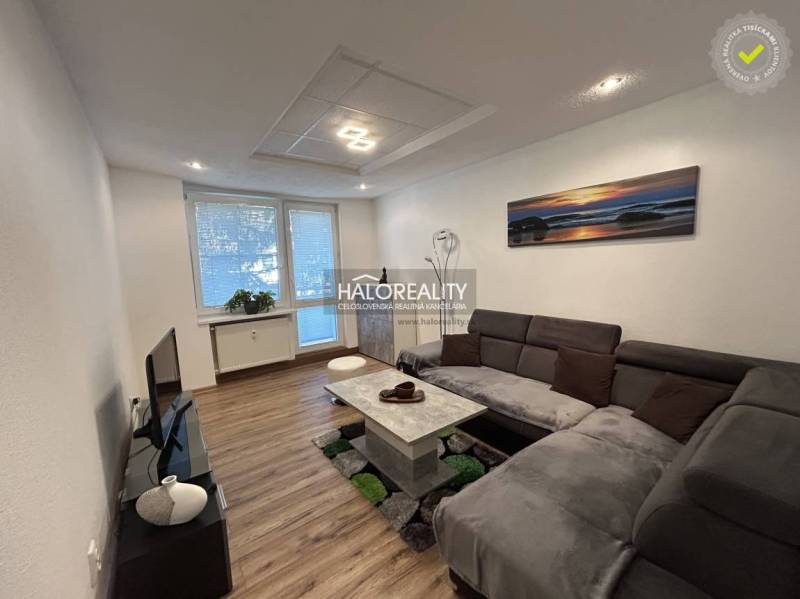 Living room in a two-room apartment, wooden decor flooring, gray sofa.