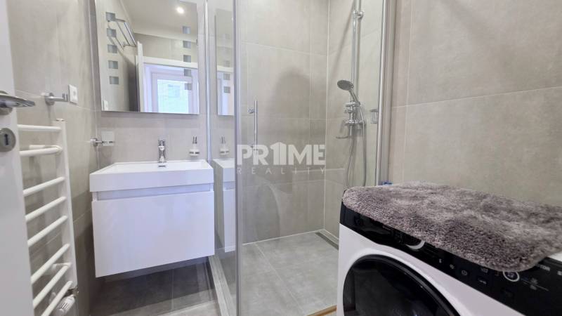 A bathroom in a two-room apartment with a sink, shower, and washing machine.