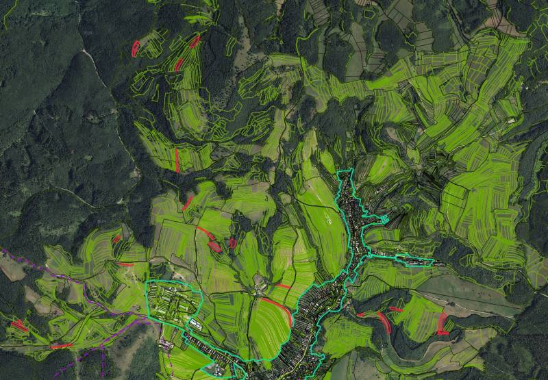 Aerial map of agricultural and forest lands around Poniky with divided parcels.