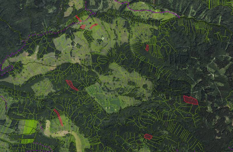 Aerial map of agricultural and forest lands around Poniky with marked boundaries.