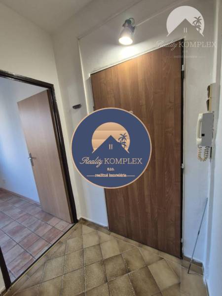 A hallway with doors and a telephone, a floor with a wooden decor, a studio apartment.