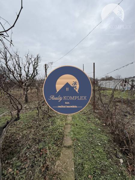 The garden of a family house in Strekov with vines and a lawn under a cloudy sky.