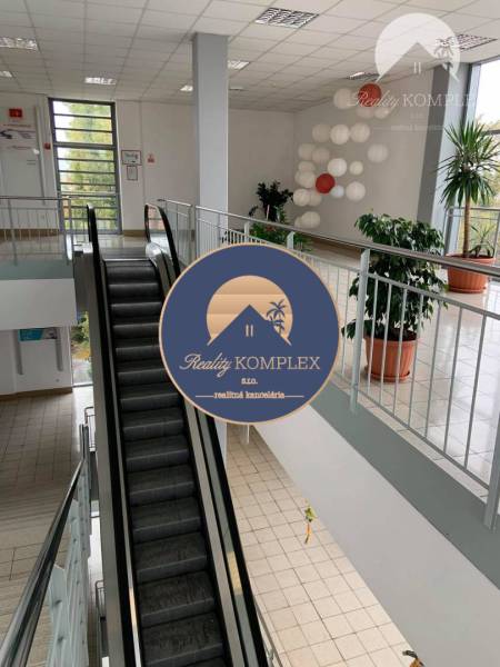 Interior with escalator, plants, and modern decoration in commercial spaces.