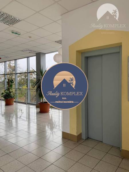 Commercial spaces with an elevator and potted plants, large glass windows, bright interior.