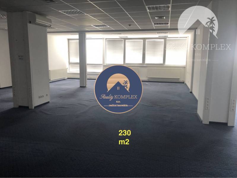 Spacious commercial spaces with blue carpet and windows without decorations.