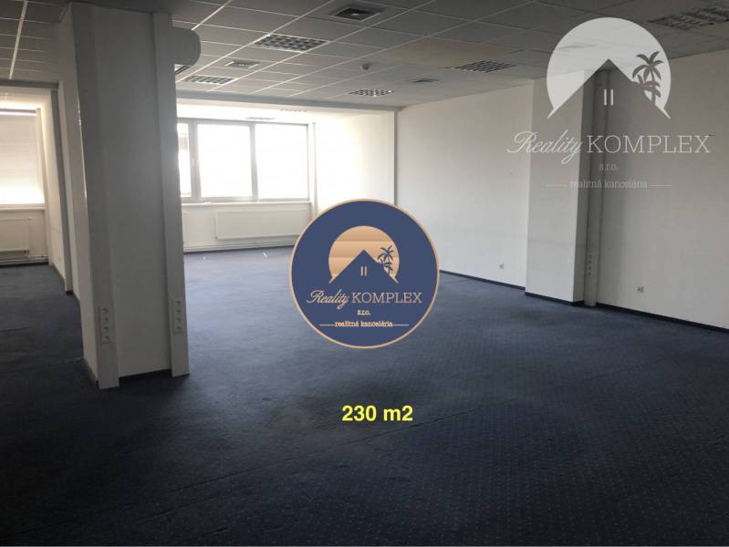 Spacious commercial spaces with blue carpet and large windows.