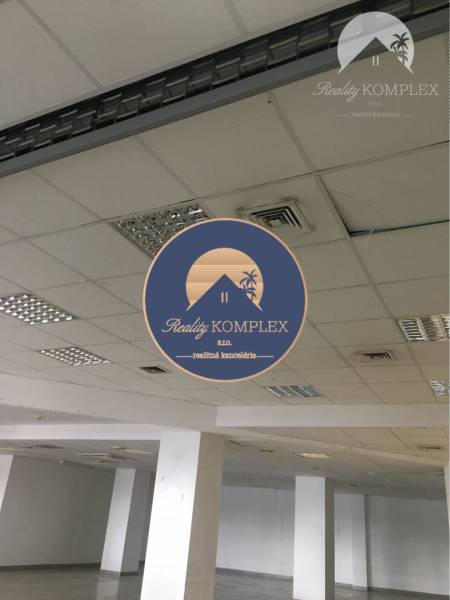 Interior of commercial spaces with wood-patterned flooring and lighting on ceiling panels.