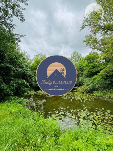 A lake surrounded by greenery on the property - living in Dedina Mládeže.