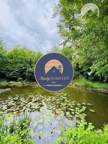 A pond surrounded by dense trees in the Village of Youth offers opportunities for plots - housing.