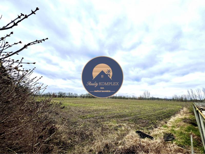 Agricultural and forest lands in Veľké Dvorníky, Veľké Dvorníky Street, shown in the photograph.