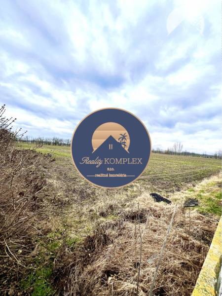 Agricultural and forest lands in Veľké Dvorníky on Veľké Dvorníky street, with a cloudy sky.