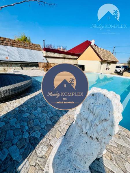 Stone terrace, lion statue, garden furniture, swimming pool, family house, blue sky.