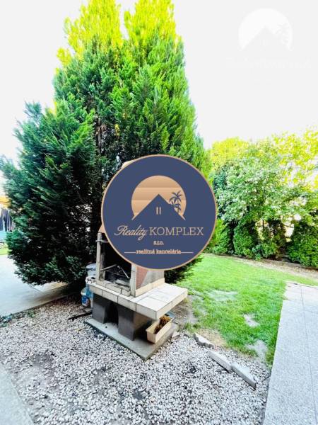 The garden of a family house in Okoč with a fireplace, lawn, and tall trees.